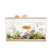 Clear Desktop Fish Tank with Turtle Platform
