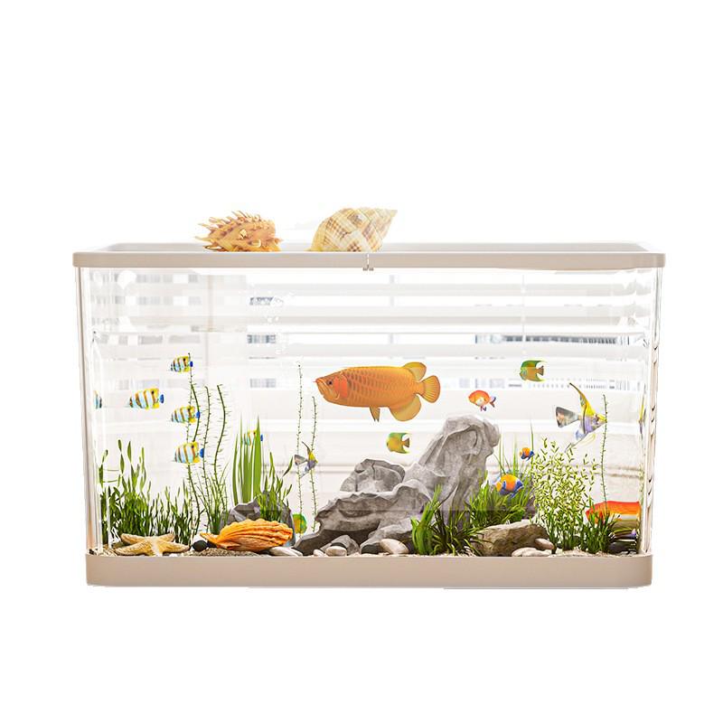 Clear Desktop Fish Tank with Turtle Platform