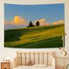 Natural Aesthetic Tapestry Gradient Clouds and Grass Landscape for Living Room Feature Wall Decor