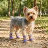 4 Pcs/set Pet Booties Breathable Mesh Dog Mesh Shoes Wear Resistant Non-slip Pet Net Boots Adjustable Soft Dog Foot Covers Beach