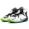 Nike LeBron 12 All Star Game 742549-190