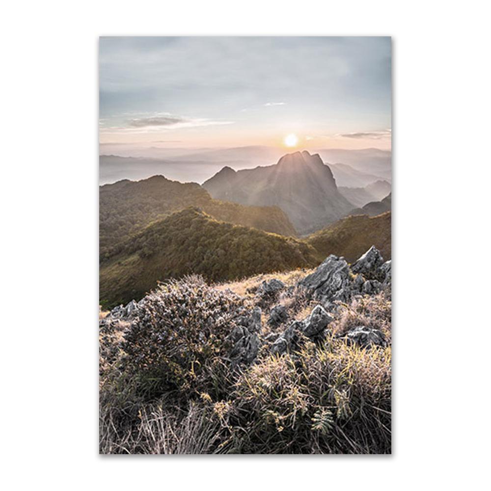 Forest Scenery Poster Prints Nature Landscape Sunlight Grassland Canvas Painting Wall Art Picture for Home Decor Painting Art