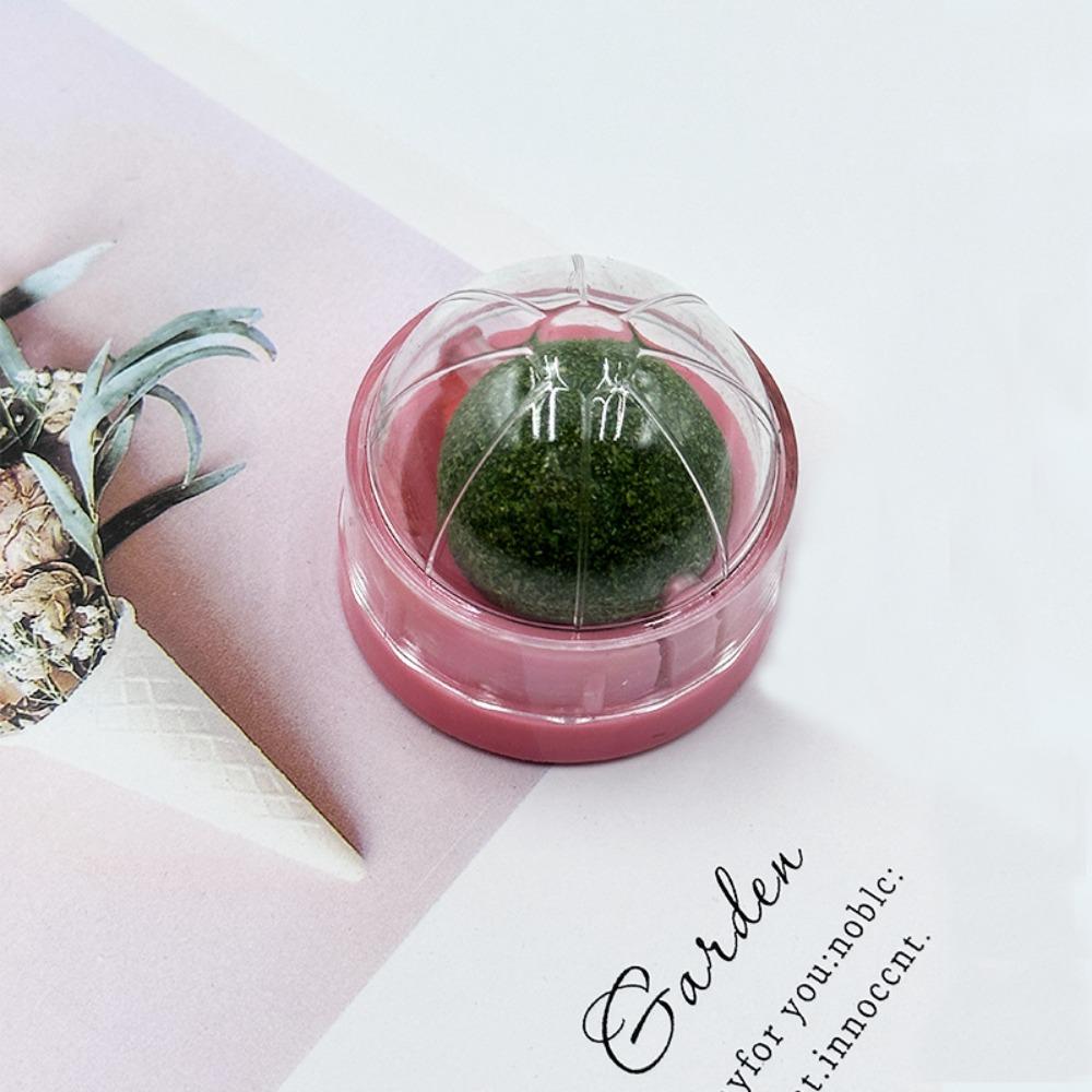 Catnip Ball Cat Toy for Teeth Cleaning Teeth Grinding Licking Chewing Spinning Ball Interactive Play Pet Toy Catnip Pet Products