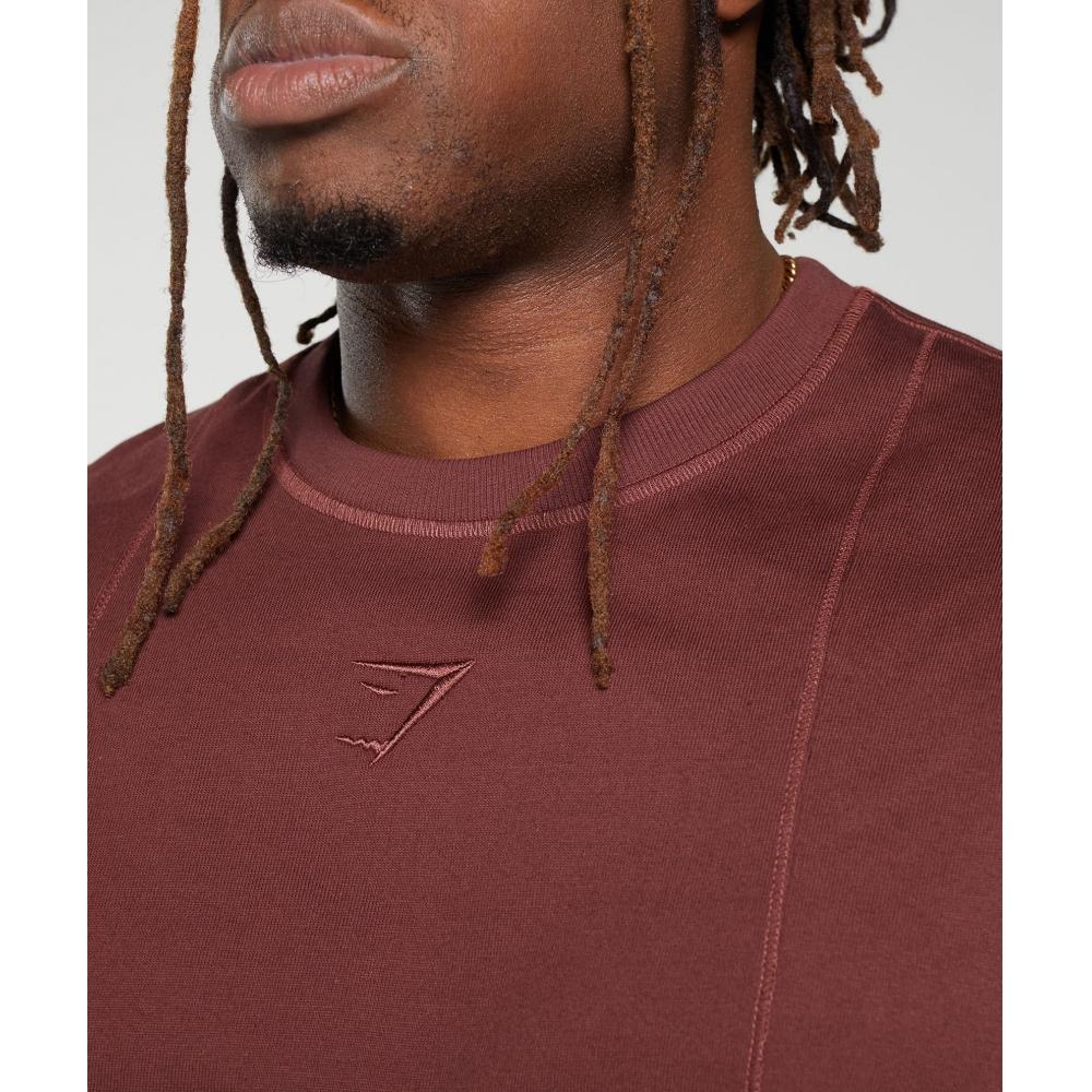 Gymshark Prémiové tričko LifTing Bordově hnědé A5a5s Rbqv