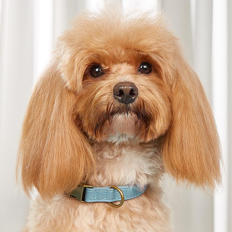 

Ошейник для собак, матовый, водонепроницаемый и противоскользящий, ошейник для домашних животных, ошейник для кошек и собак малого и среднего размера 1.5*20-32cm