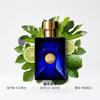 Versace Dylan Pánská toaletní voda Fougere EDT Kosmetika 1186084 EDT-200ml