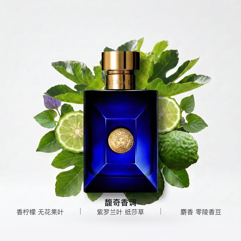 Versace Dylan Pánská toaletní voda Fougere EDT Kosmetika 1186084 EDT-200ml