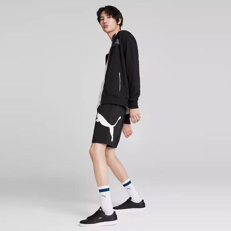Puma Vibrant Youth Casual Shorts Men's Moderate 846007-01