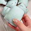 Sound Effects Toast Bread Squishy Toy Crunchy Sensory Fidget Toy  for Kids Adults