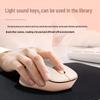 HP Professor SE Dual-Mode Wireless Mouse