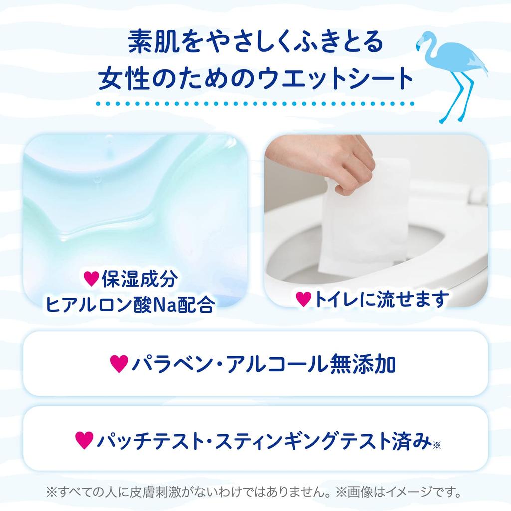 LEC Delicate Wet 20 Sheets X 8 Packs Made In Originally Made from Baby Wipes Women's Wipes, Femia, (Unscented), Flushable, Japan,