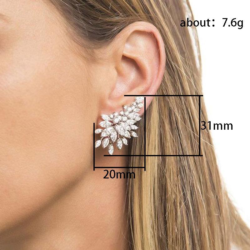 Full Of Angel Wings, Zircon Women'S Earrings, Korean Personalized Design Versatile Earrings