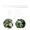 Clear Acrylic Plant Supports Stake for Flower Plant Growth Flower Support Stick Great for Climbing and Tall Plant
