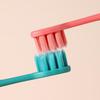 Chenke Adult Soft Bristle Toothbrush Series