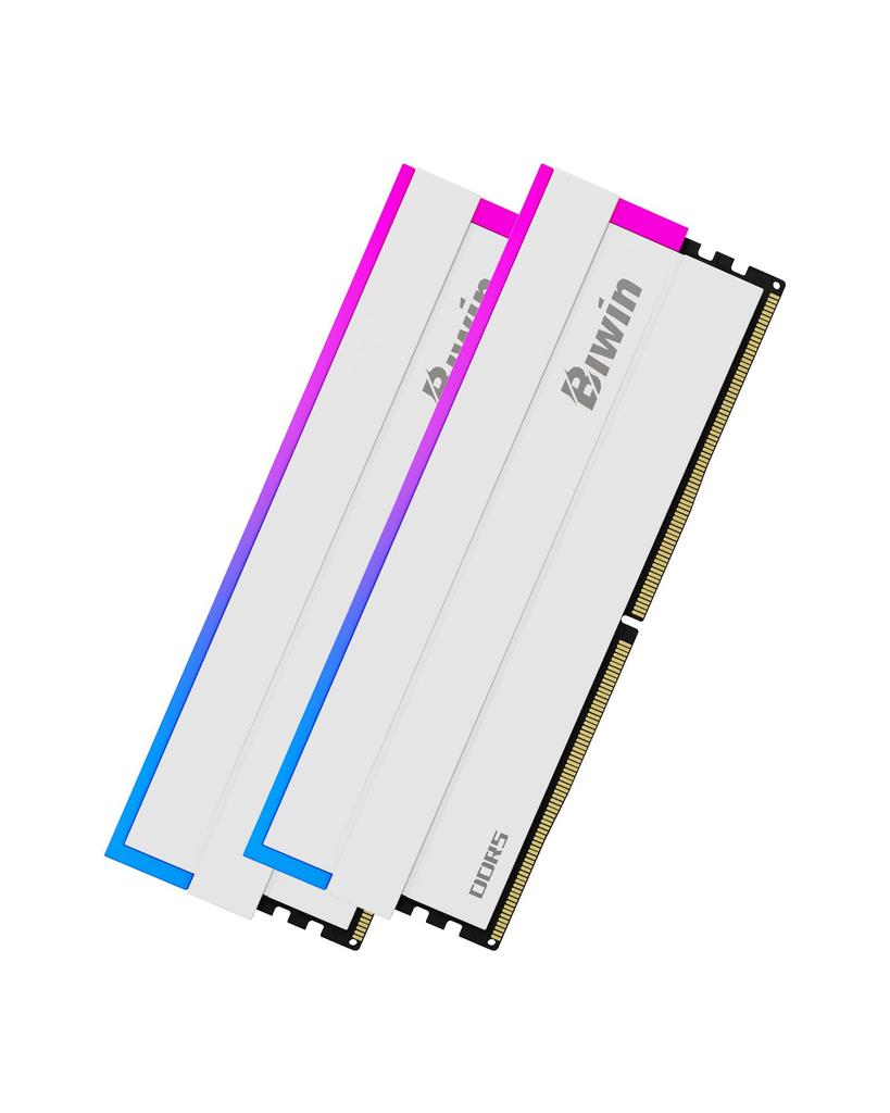 Biwin DW100 DDR5 Desktop PC Memory 32GB X CL30 RGB Lighting Intel XPM EXPO Compatible Memory Kit White 6000MT/s (PC5-48000) (16GB 2) 3.0/AMD