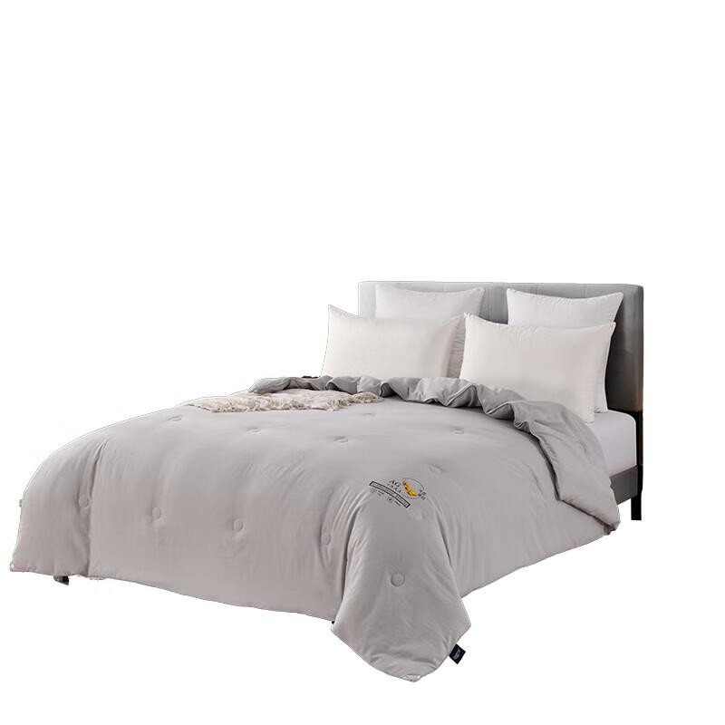 

Faunen FN-B6055 Platinum Soybean Spring/Autumn Quilt