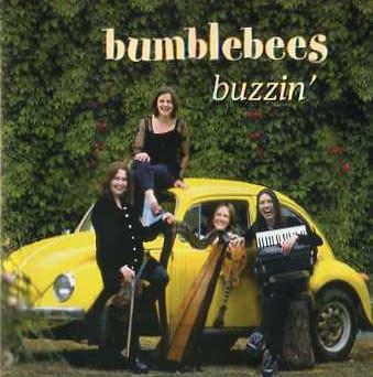 

CD BUMBLEBEES Buzzin BHCD001 BEEHAVE 1999 Ireland ObiWorld Music Used