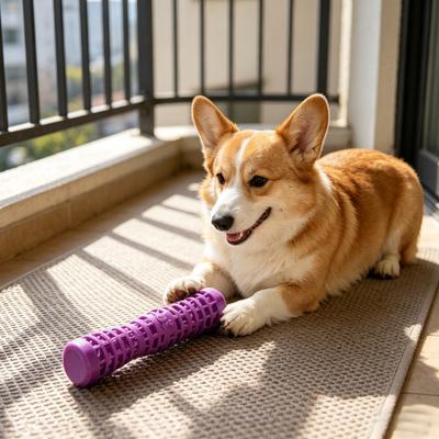 Yousheng Bâtonnet à mâcher pour chien Jouet couinant pour la poussée dentaire du chien Bâtonnet texturé pour le nettoyage des dents pour mâcheurs agressifs