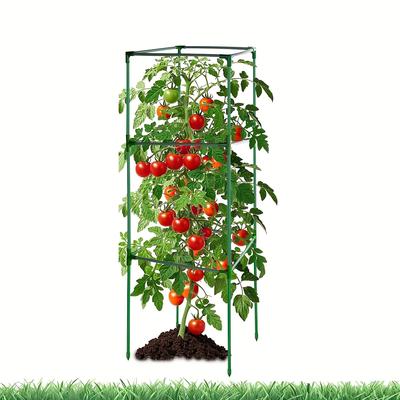Bahçe ve Çevre Düzenlemesi – Bitki desteği