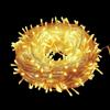 Yu Lin Jun LED Outdoor Starry Light String - 100m Warm White
