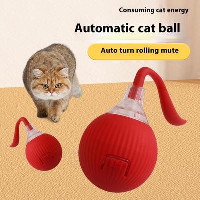 Katzen – Katzenspielzeug