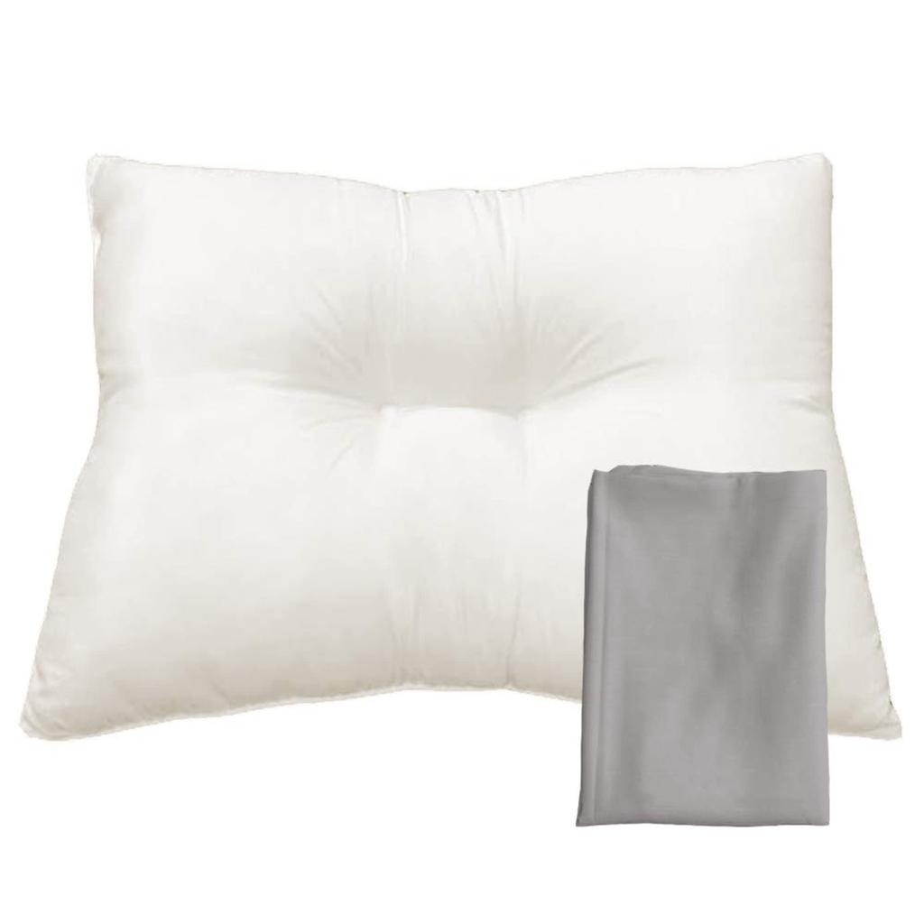 EIYU Pillow, 43x63cm, Low, Washable, NANO Platinum, Ivory, with Gray Pillowcase, Shipped Uncompressed