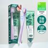 DENTISTE Plus White Pro Pasta do zębów 100g Zestaw (+Zaawansowana Szczoteczka do Zębów)