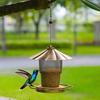 Bird Feeder with Rainproof Roof Metal Feeder Large Capacity Grain Storage Bin And Tray Feeder for Outdoor Garden Patio