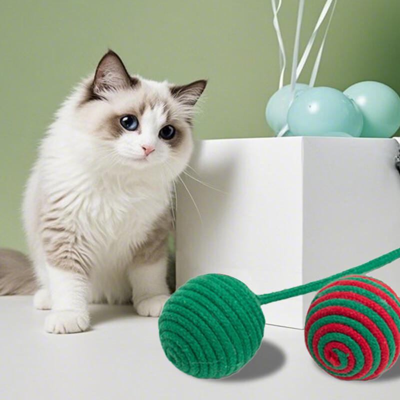 Zan Chong Interactive Cat Toy Assortment