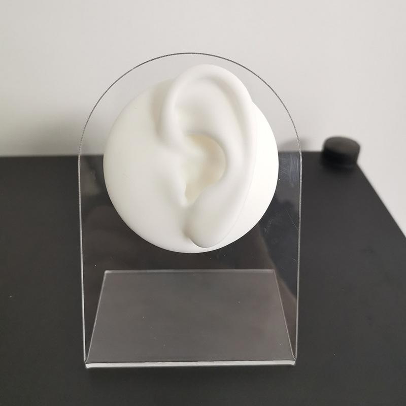 Silicone Ear Model Earrings Jewelry Display Props Earrings Stud Earrings Organizer Display Stand and Packaging