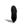 Terrex Swift Adidas R2 Mid Gtx 'Triple Black' CM7500