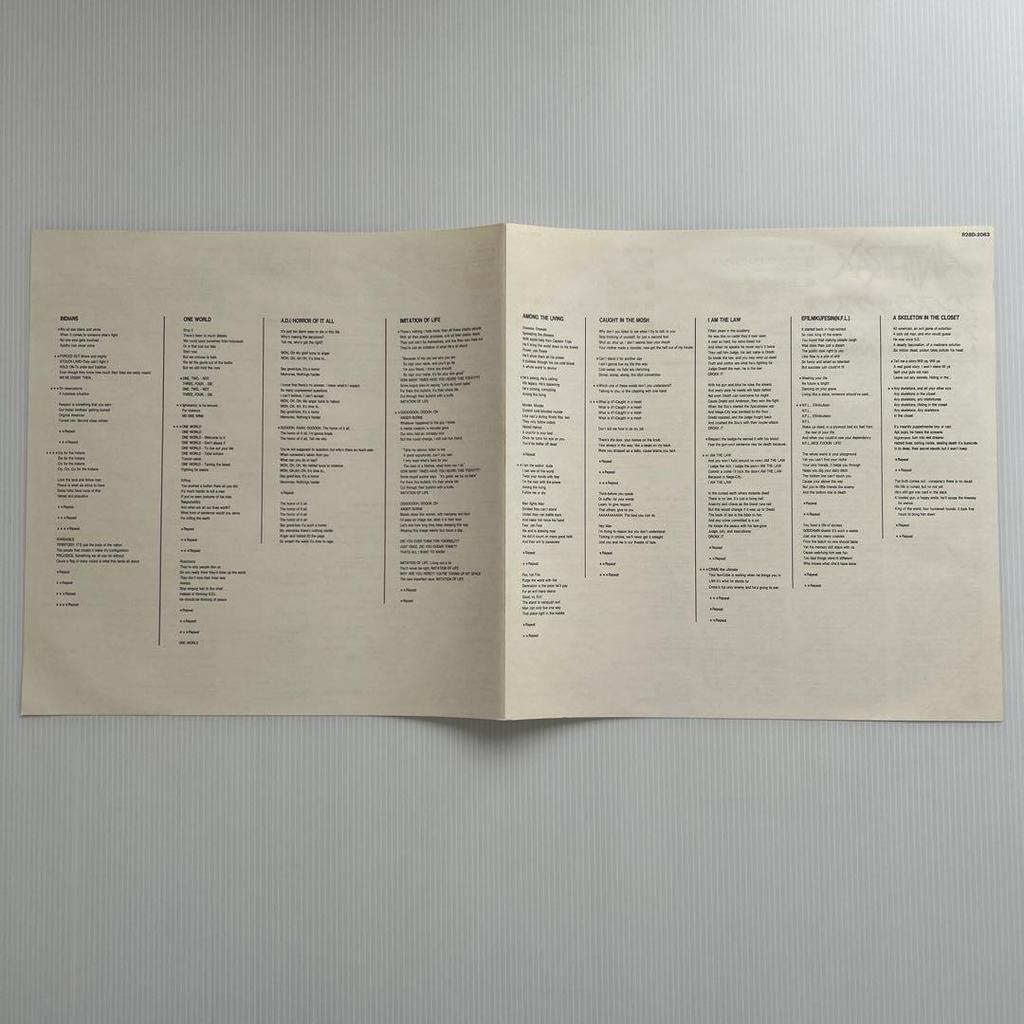 [USED] Anthrax "AMONG THE LIVING" Beautiful LP record