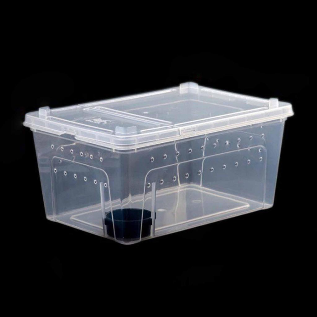 Reptile Feeding Box Breeding Transparent Terrarium Habitat with Feeder Bowl for Snake Cricket