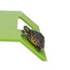 Plastic Turtle Basking Platform Double Ladder Turtle Basking Terrace  For Turtles Tortoise