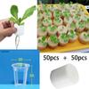 30 * 35mm Orchid Pots Round Planting Basket 50Pcs Vegetable Soilless Cultivation