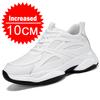 Winter Men's Height-increasing 10CM Sports Shoes Men Genuine Leather Mesh Shoes Warm Thick-soled Shoes Heightening Insoles 6-8CM