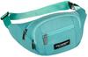 PTN Pouch POM-S01-3797 Turquoise