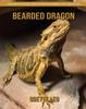 Libro Bearded Dragon : A Fun and Educational Book for Kids with Amazing Facts and Pictures