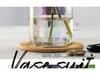 Transparent Minimalist Glass Vase for Office Decoration with Fresh or Dried Flowers