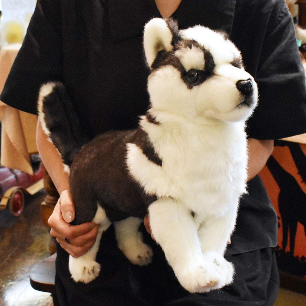 BH7512 HANSA Siberian Husky Puppy, Size 43