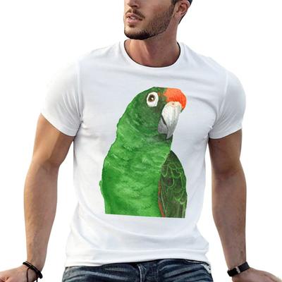 Jardine's Parrot Watercolor - Bird Paint T-Shirt Casual Short Sleeve T-Shirt