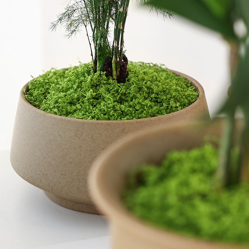 Bionic Artificial Moss Micro Landscape Ornaments for Bonsai and Paving
