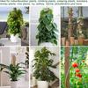 Sturdy Plant Support Stakes 30/40/50cm Coir Totem Poles Practical Moss Sticks  Potted Plants