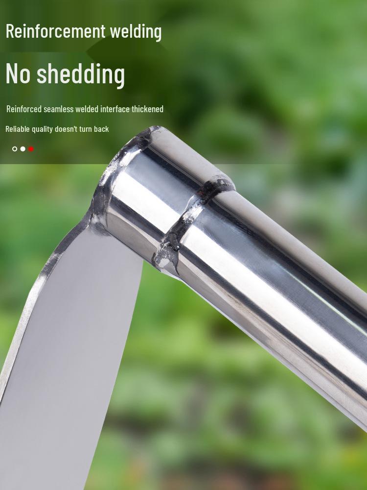 Stainless Steel Dual-Use Hoe Rake: German Agricultural Tool for Gardening and Planting