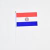 Paraguay 10 piezas de banderas para agitar a mano de 14*21cm