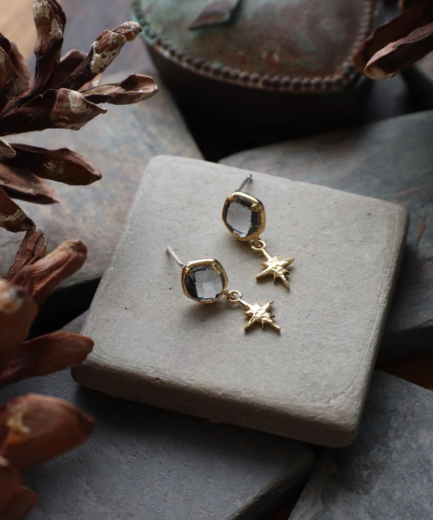 Iris Memory-Hope Starlight Crystal No. 4 Earrings-Gray