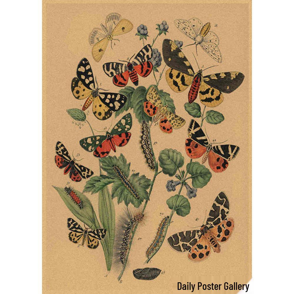 Retro Schmetterlings-Illustrationsposter: Handbemalte Tier-Wandkunst im Vintage-Stil, europäisch & amerikanisch