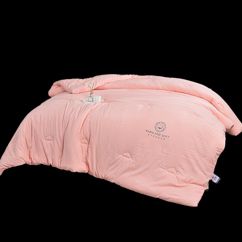 

JieLiYa Cloud Comfort Quilt