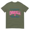Funny Pickleball Cinderella Unisex Gift Player Joke Tshirt
