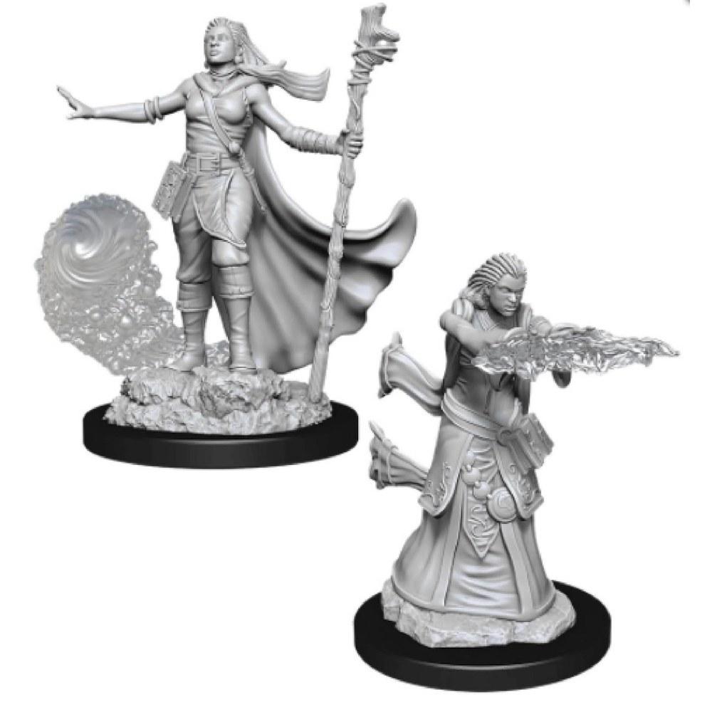 WizKids D&D Nolzur's Marvelous Miniatures Female Human Druid